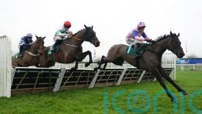 Skelton runner best by a Country Mile at Cheltenham