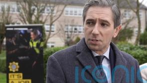 Independents ‘more interested’ in government talks than smaller parties, TD says