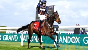 Dysart Enos in a good place for Ladbrokes Hurdle bid