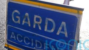 Motorist dies in single-vehicle crash