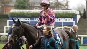 O’Brien will look to get another run into resurgent Crambo before Cheltenham