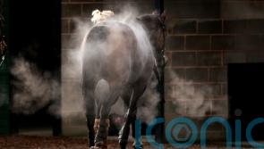 No rest for racing folk at Christmas, but festive spirit still prevails