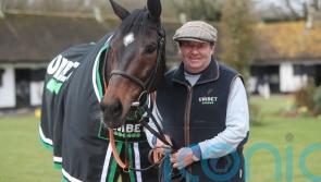 Altior ‘has the life of Riley’ in retirement with Mick Fitzgerald