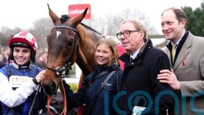The Jukebox Man hits all the right notes for Harry Redknapp