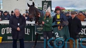 Embassy Gardens too good for Monty’s Star in Tramore feature
