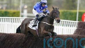 Energumene still in the mix for Clarence House showdown with Jonbon