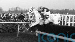 Powell recalls Panto’s Ascot battle with jumps great Dessie