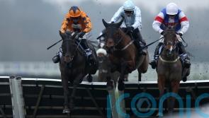 Take No Chances springs minor Mares’ surprise