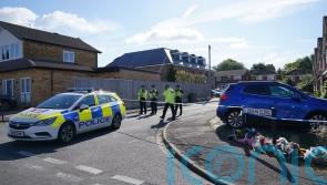 Man admits crossbow murders of ex-partner and sister and fatally stabbing mother