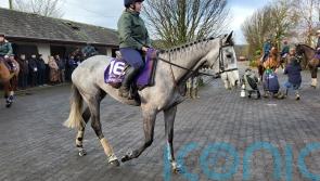 Mullins to make late call on Cheltenham or Leopardstown for Lossiemouth