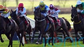 Rocky’s Diamond delivers knockout blow in Galmoy Hurdle