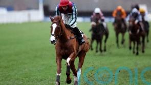 Windbeneathmywings ‘ticking over’ with Cheltenham on the horizon