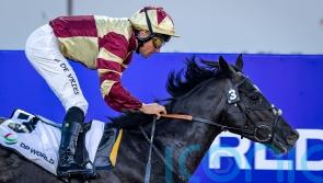 Heart Of Honor expected to enjoy UAE Derby distance