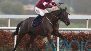 Straight to Cheltenham for Brighterdaysahead, says Elliott