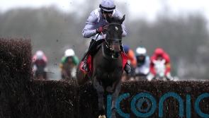 Dublin Racing Festival weekend will offer further pointers for Il Est Francais team