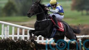 Queally sets Stayers’ goal for Rocky’s Diamond
