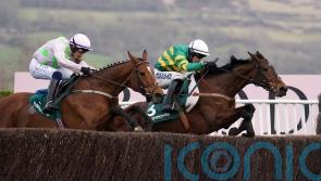 Impervious not out of Cheltenham reckoning just yet