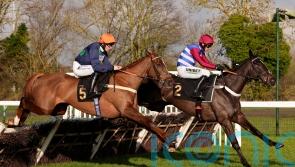 Califet En Vol boosts The New Lion with Huntingdon success