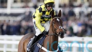 ‘Sore’ Arkle favourite Sir Gino misses Game Spirit run