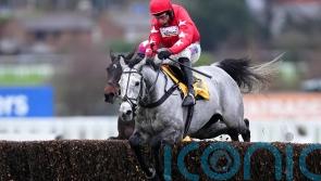 ‘No negatives’, as L’Eau Du Sud gets set for Kingmaker action