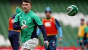 He’s class – Calvin Nash backed to be ‘seamless’ replacement for Mack Hansen