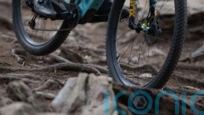Female downhill mountain bikers at ‘significantly’ higher risk of injury – study