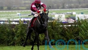‘Absolute superstar’ Delta Work dies aged 12
