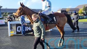 Jade De Grugy enhances Mares’ Hurdle claims at Punchestown