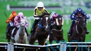 County ‘probably’ favoured over Champion Hurdle for Burdett Road