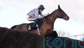 Telepathique to take on best of Ireland in Mares’ Chase