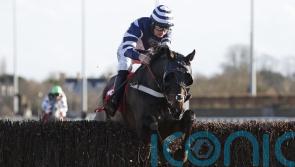 Ultima the top option for Kempton star Katate Dori