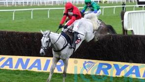 Grey Dawning and Iroko en route to Aintree via Kelso