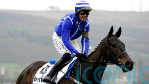 Energumene team would welcome Cheltenham rain with open arms