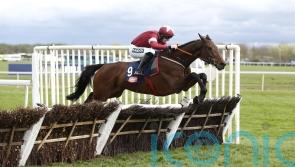 Brighterdaysahead confirmed for Champion Hurdle bid