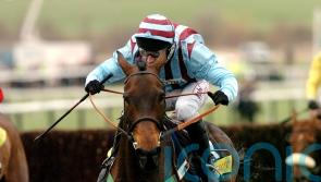 Knight expecting three Gold Cups for Galopin – and maybe four