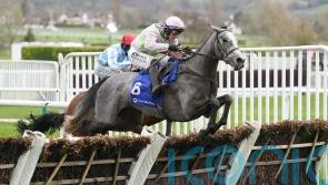 Mullins defends Lossiemouth Cheltenham Festival switch
