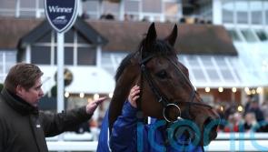 Skelton not doubting Lion’s heart for a Festival fight
