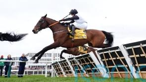 Air Of Entitlement swoops late for Mares’ glory