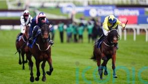 William Munny will now be saved for novice chasing next term