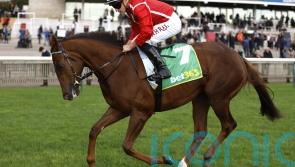 Kempton return in the pipeline for Shuwari comeback