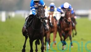 Kadastral impresses for the Skeltons