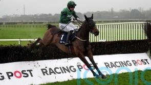 Fun Fun Fun makes her mark at Limerick