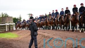 ‘Very quick’ Australian import Storm Boy impressing at Ballydoyle