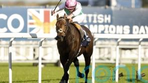 Classy Kalpana earmarked to ‘go the Bluestocking route’