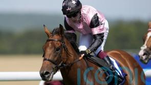 Menuisier snaps up rising star for Toimy Son’s Lincoln challenge