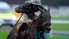 Iroko team have unique insight into what Aintree success requires