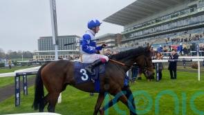 Menuisier has Classic trial in mind for promising Janey Mackers