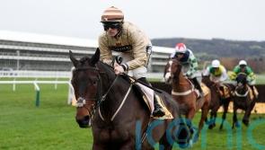 Broadway Boy homeward bound and ‘should be OK’