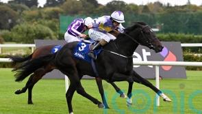 Harrington has ‘vague plan’ for Guineas contenders