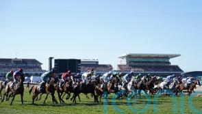 World Horse Welfare ‘deeply saddened’ by death of Celebre d’Allen